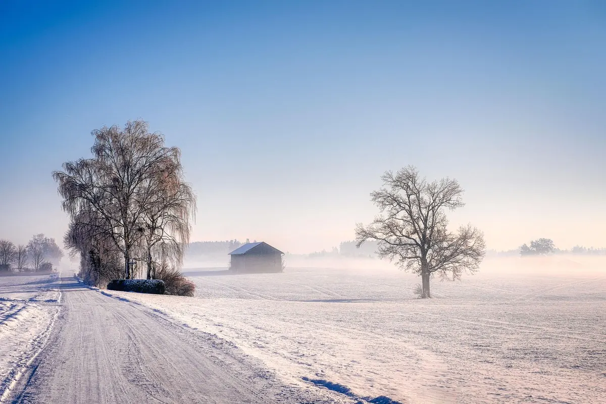 Cairn Court Winter Prep: Protecting Pipes, Paths and Shared Spaces